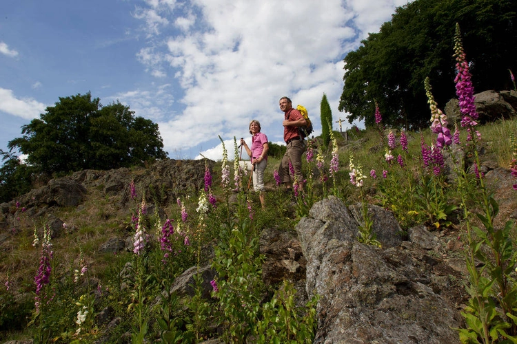 Wanderer auf dem Goldsteig - Gruber - © Gruber / Tourismusverband Ostbayern e. V.