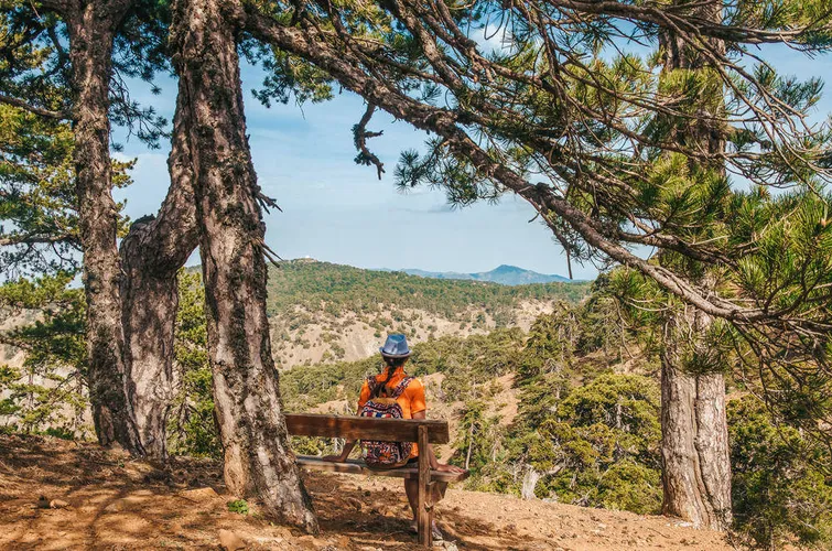 Wandern im Troodos Gebirge - Andrii Marushchynets - © Andrii Marushchynets / Adobe.com