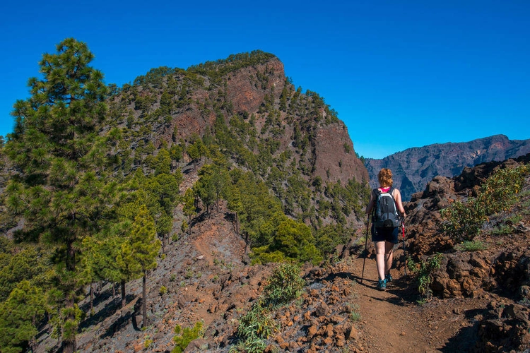 Wanderung zum Pico Bejenado - Alberto Gonzalez / Adobe.com - © Alberto Gonzalez / Adobe.com