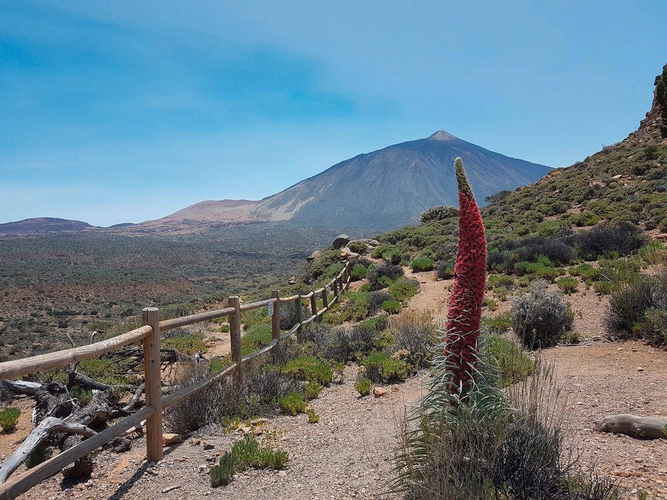 Wanderung zum Teide - Jörg Lanzinger