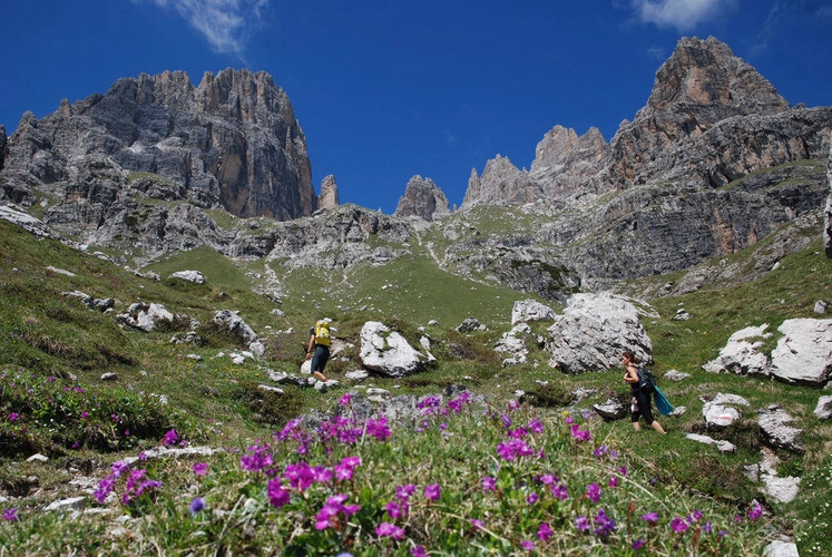 Zu Füßen der Brenta Dolomiten - Gerd Thiel