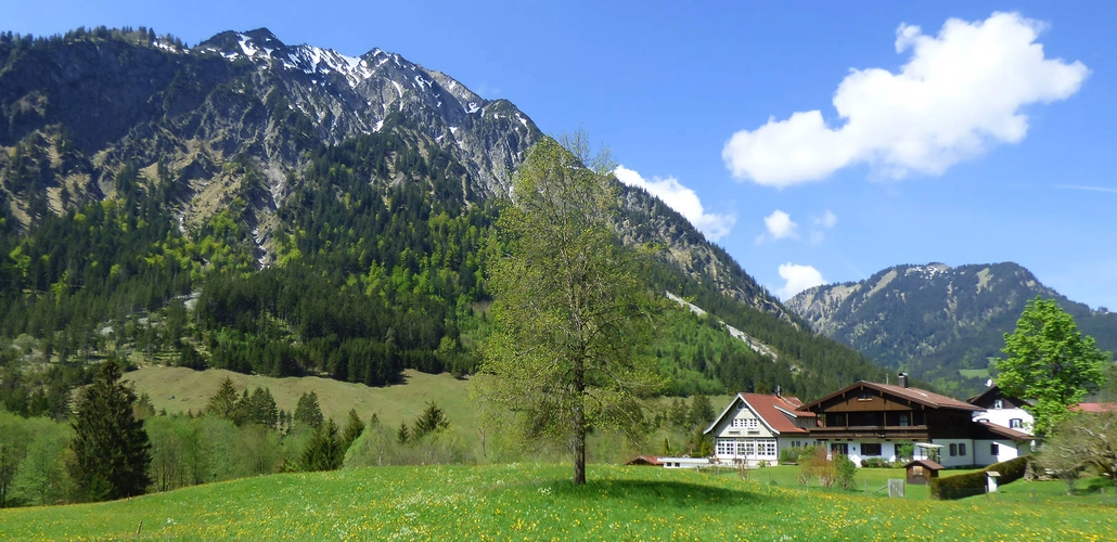 Bergwelt von Bad Hindelang - Andreas Happe