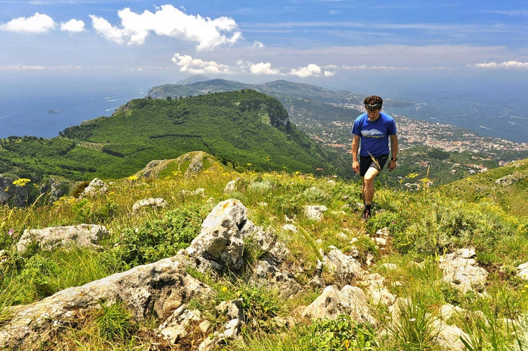 Blick auf Sorrento - Darek Wylezol