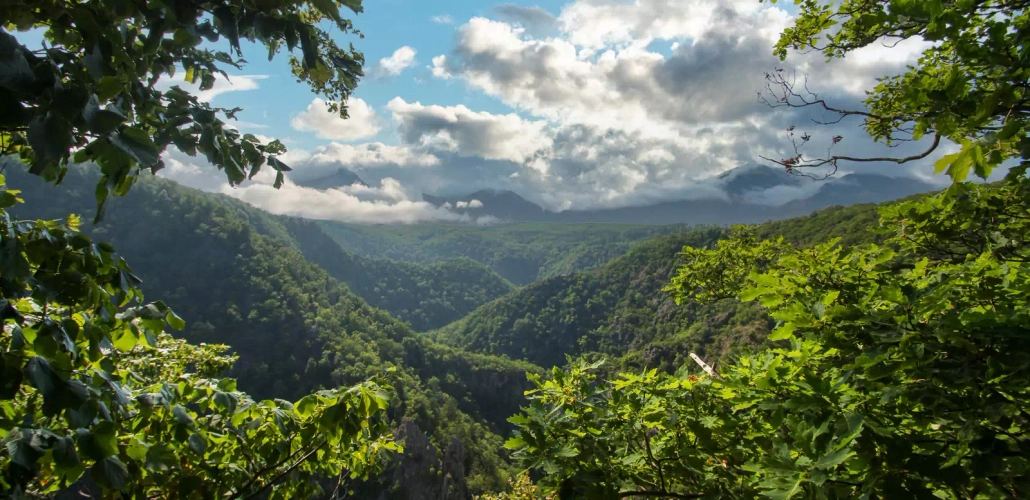Bodetal - imagoDens - © imagoDens / Adobe.com