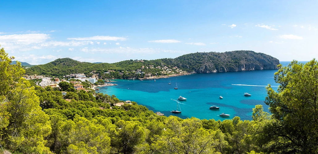 Camp de Mar - David Brown - © David Brown / Adobe.com