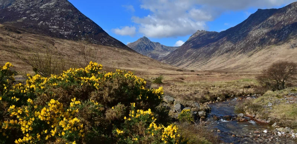 Glen Sannox - G. Thiel