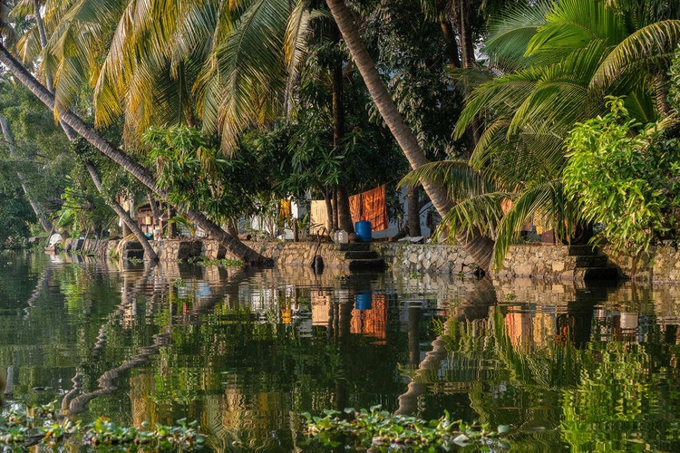 Idylle in den Backwaters - Sven Frormann