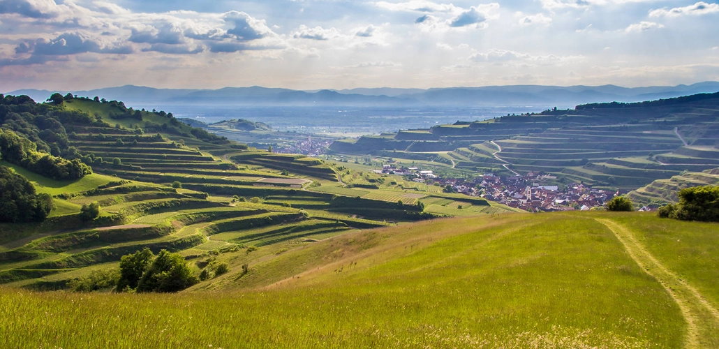 Kaiserstuhl - Naturgarten Kaisterstuhl - ©NGK, Schröder-Esch