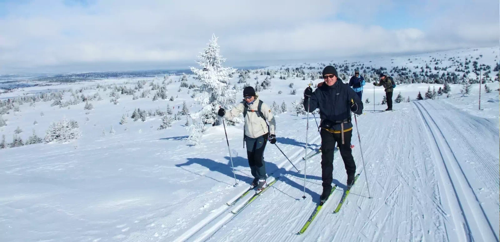 Langfläufer - Idhuna Barelds