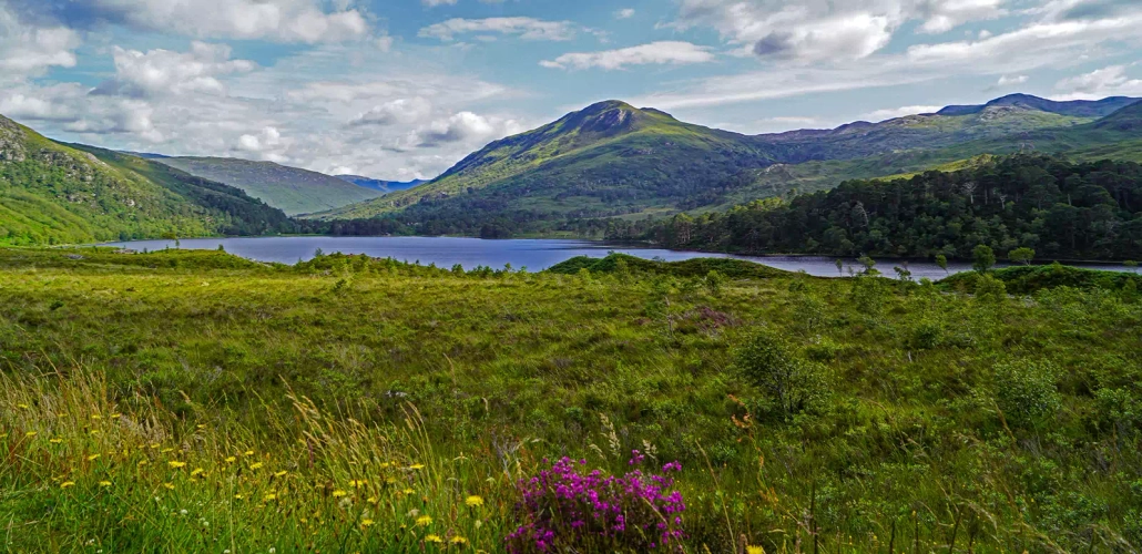 Loch Maree - BabettsBildergalerie - © BabettsBildergalerie / Adobe.com
