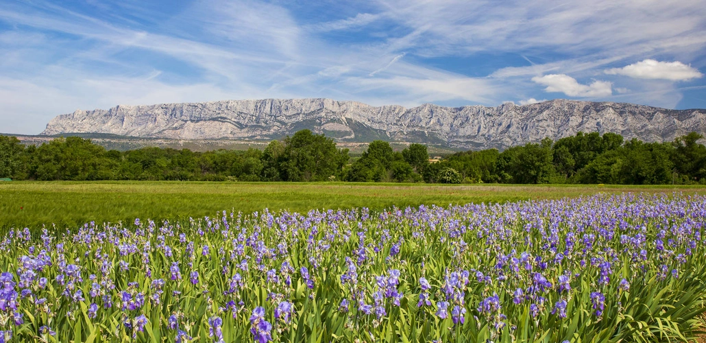 Montagne Sainte-Victoire - JeanLuc Ichard - © JeanLuc Ichard /Adobe.com