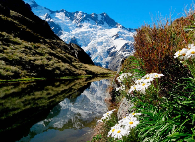 Mount - Cook NP - Berrin Isufova-Richter