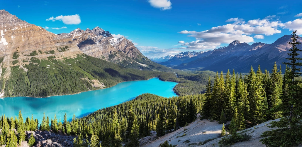 Peyto Lake, Icefields Parkway - lucky-photo - © lucky-photo / adobe.com