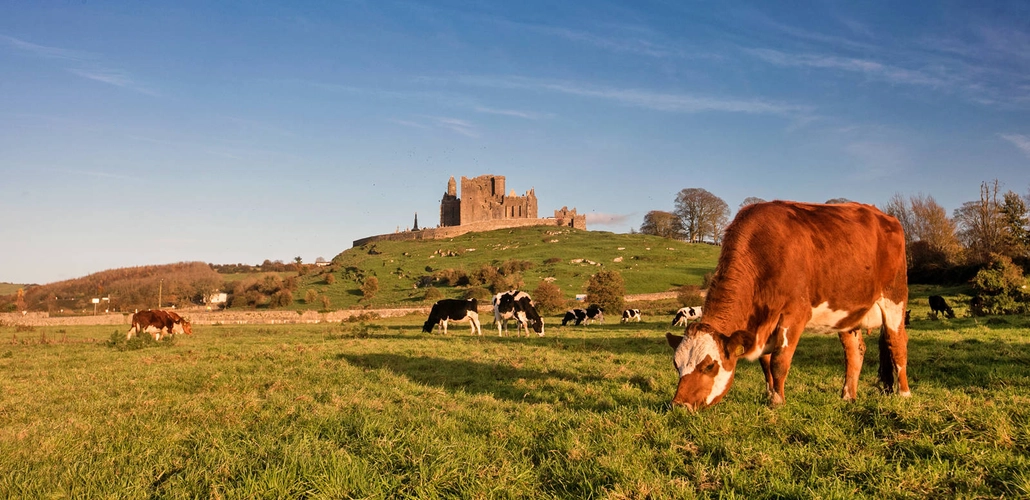 Rock of Cashel - Tourism Ireland - ©Fáilte Ireland/Tourism Ireland