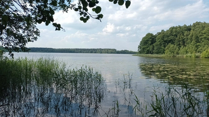 Seenlandschaft im Müritz-Nationalpark - Behzad Marvie