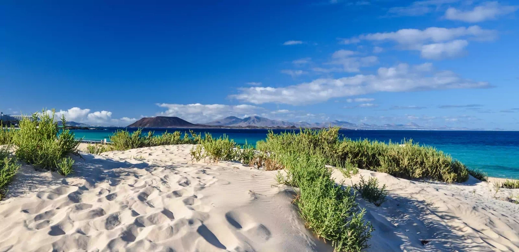 Strand bei Corralejo - Juergen Wallstabe - © Juergen Wallstabe / Adobe.com