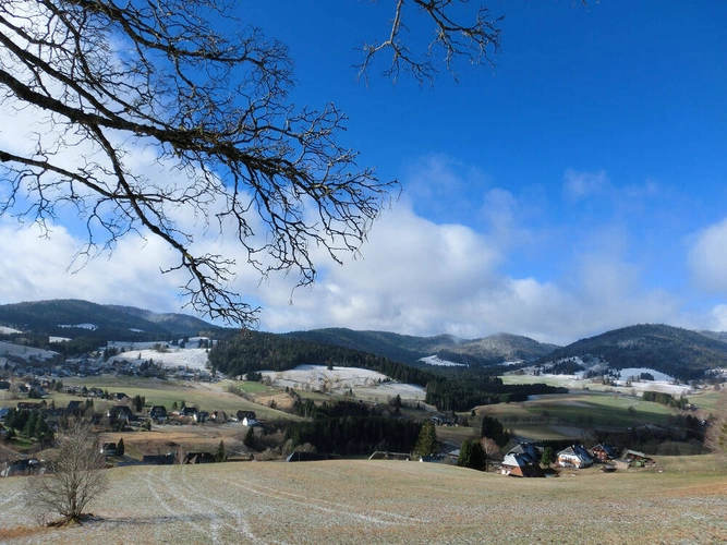 Unterwegs im winterlichen Schwarzwald - Oliver Herrmann