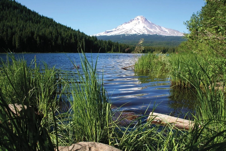 Fantastischer Blick auf den Mt. Hood