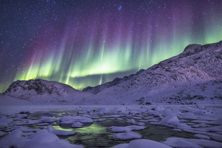 Nordlichter überm Fjord