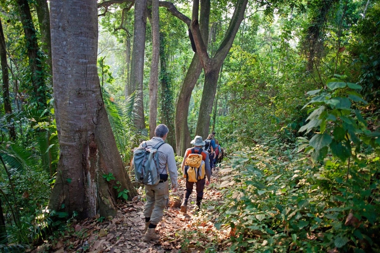 Wanderung im Nyungwe Forest