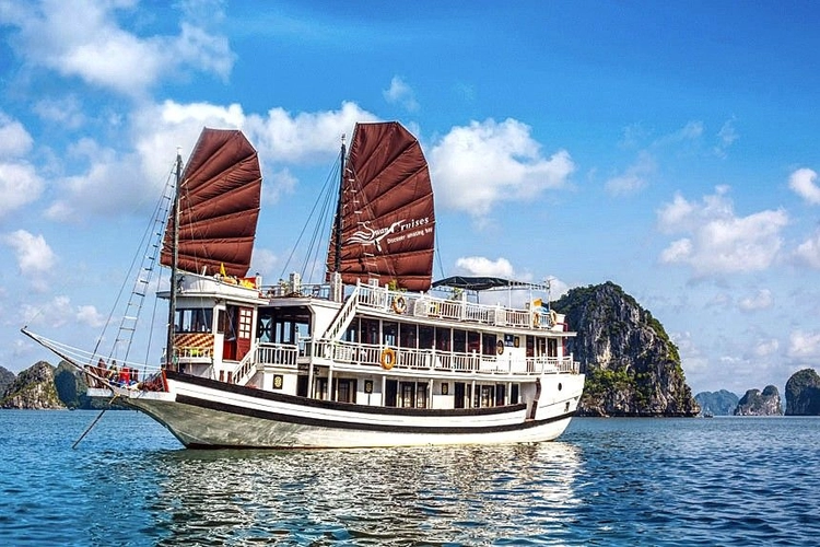 Swan Cruises