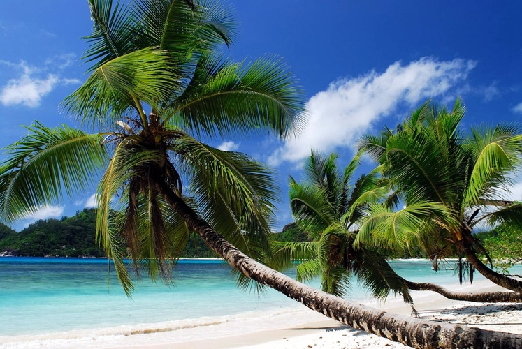 Strand auf den Seychellen