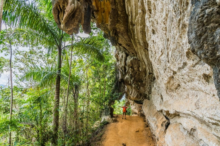 Nationalpark „Topes de Collantes“  im Escambray – Gebirge