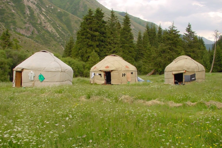 Drei Jurten auf Blumenwiese in Kirgistan