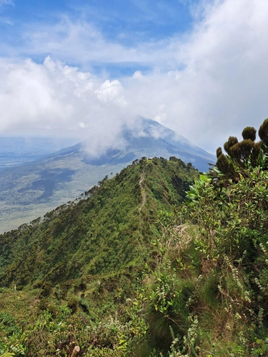 Wandern am Mount Sabyinyo