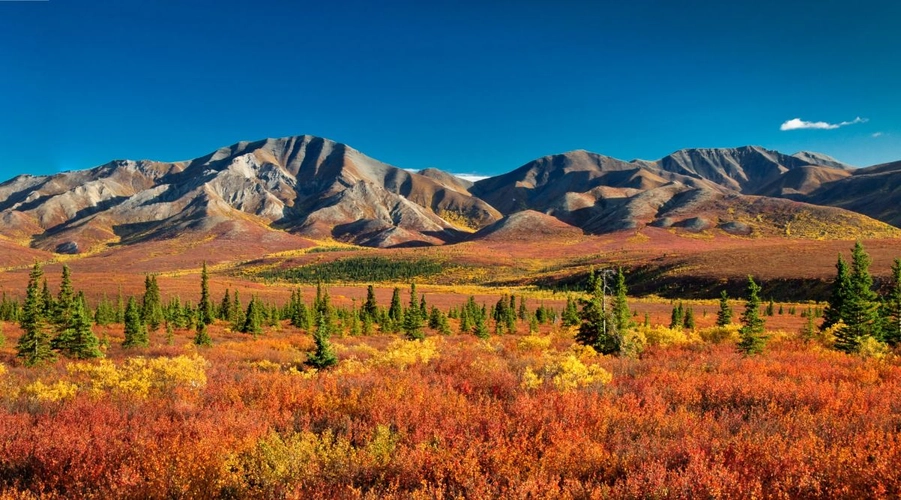 Denali-Nationalpark