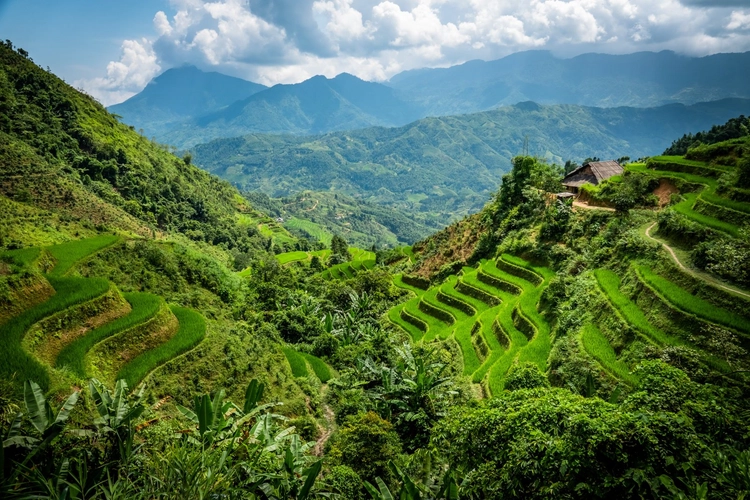 Reisterrassen Ha Giang Province