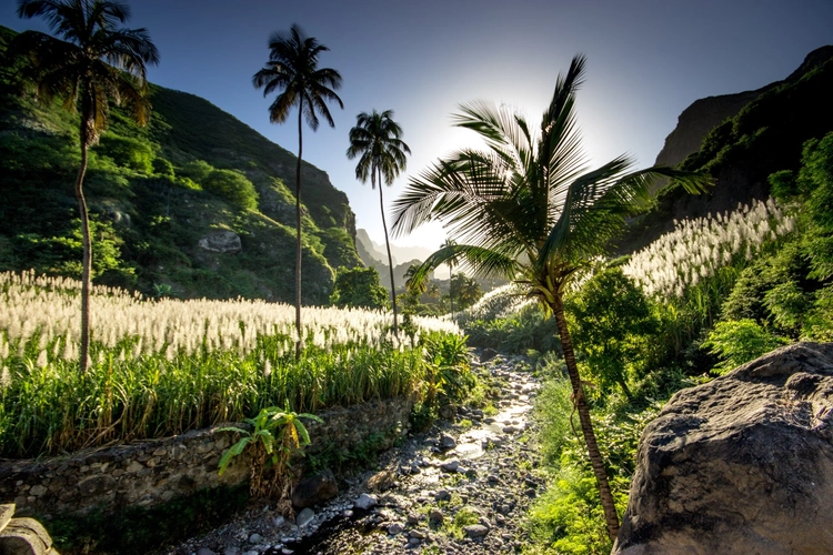 Kapverden - Sattgrüne Natur auf Santo Antao