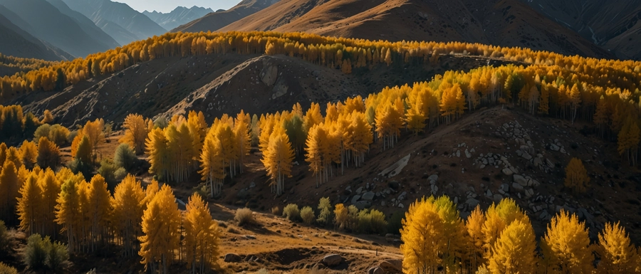 Studienreisen im Herbst in Tadschikistan