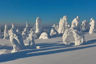 Verschneite Winterlandschaft in Schwedisch Lappland - Michael Ahrens