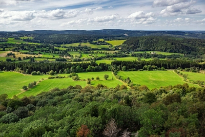 Wälder im Erzgebirge - golovianko - © golovianko / Adobe.com