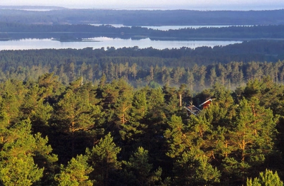 Waldlandschaft Geta - Visit Finland - Udo Haafke / Visit Finland