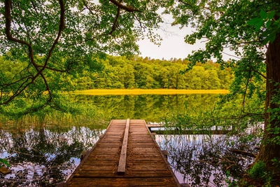 Waldsee in der Uckermark - Mit *HPS* auf Reisen - © Mit *HPS* auf Reisen / Adobe.com