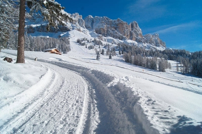 Wanderweg am Rosengarten - David Rieger (Hotel Vajolet)