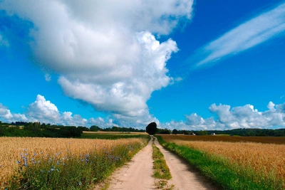 Wanderweg in den Masuren - Darek Wylezol