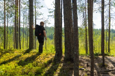 Wanderer im Wald - Metsäkartano Nature Resort