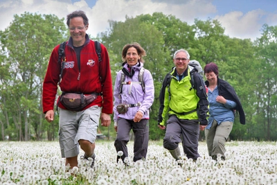 Wanderer im Pusteblumenfeld - Beba Illic