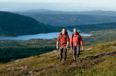 Wanderer - Scanout.com