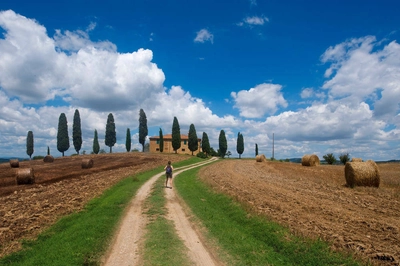 Wanderin in der Toskana - Darek Wylezol