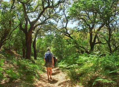 Wandern zwischen Korkeichen - Cornelia Hempel