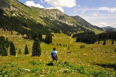 Wandern im Nationalpark Berchtesgaden - Darek Wylezol