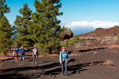 Wandern im Teide-Nationalpark - Klaus Hoffmann - © K. Hoffmann