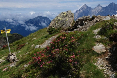 Wanderpfad zum Rippeteck - Gerd Thiel