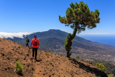 Wanderung zum Pico Bejenado - Visit La Palma - © Visit La Palma / Van Marty