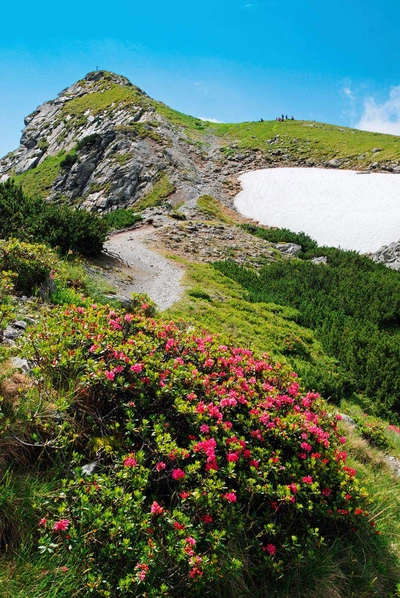 Wanderung zum Rippeteck - Gerd Thiel