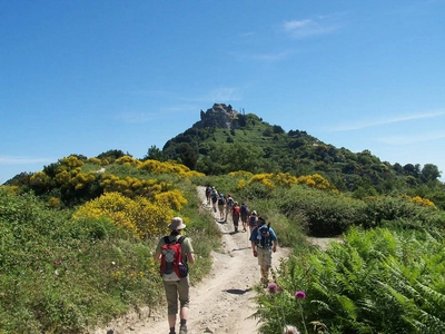 Wanderung am Monte Epomeo, Gipfel in Sicht - Monika Schmidmeier